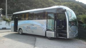 Rental MINIBUS 